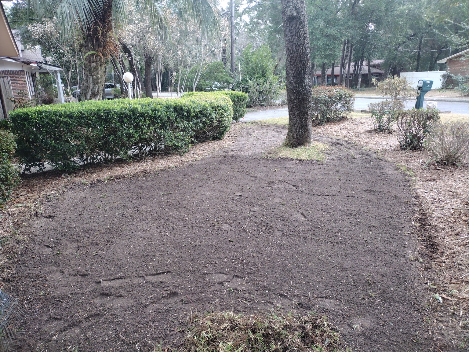 Bare prepared soil before lawn restoration